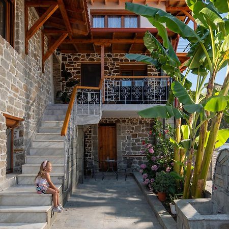 House Draganis Villa Sykia Chalkidikis Bagian luar foto